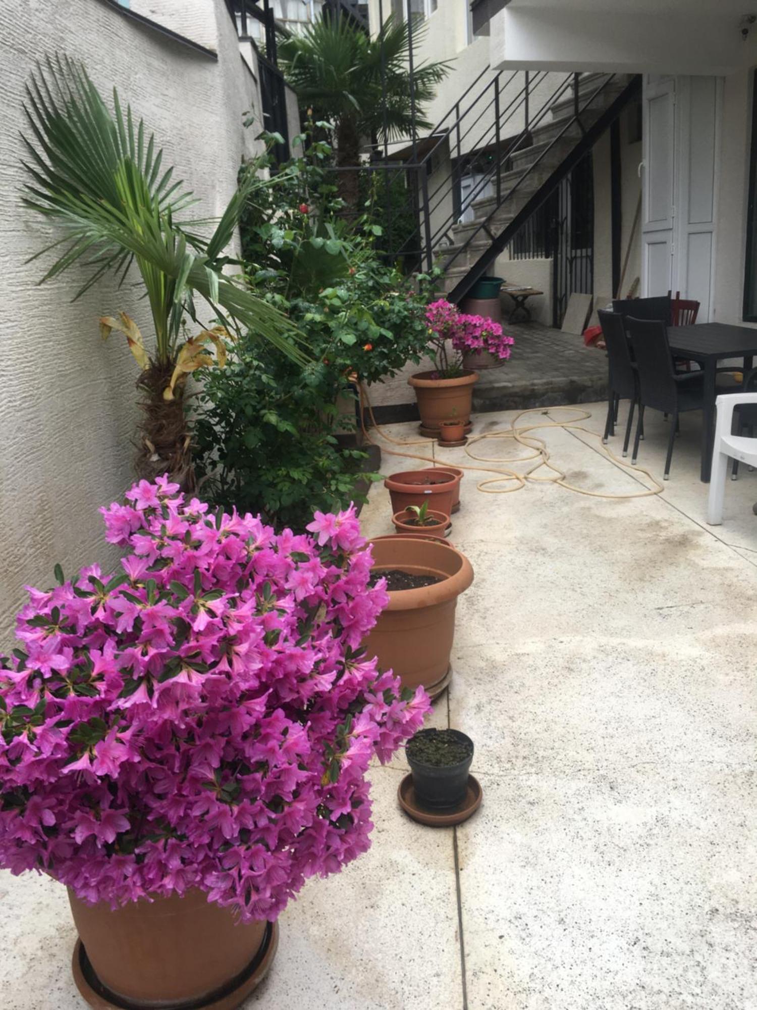 10 Shindisi Street,Tbilisi 아파트 외부 사진