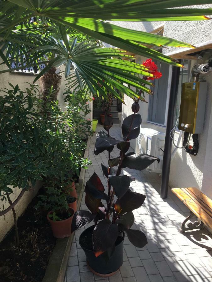 10 Shindisi Street,Tbilisi 아파트 외부 사진
